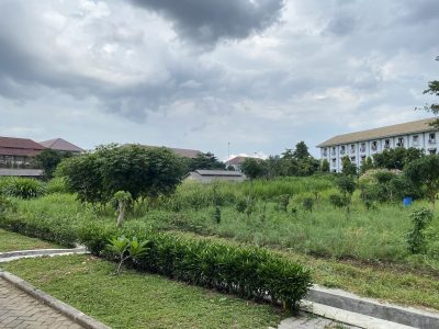 Lahan Hijauan