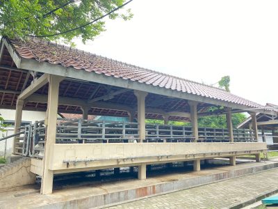 Kandang saanen samping